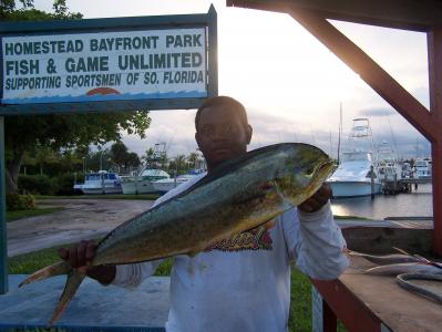 Ben W/ Nice Lifter Dolphin